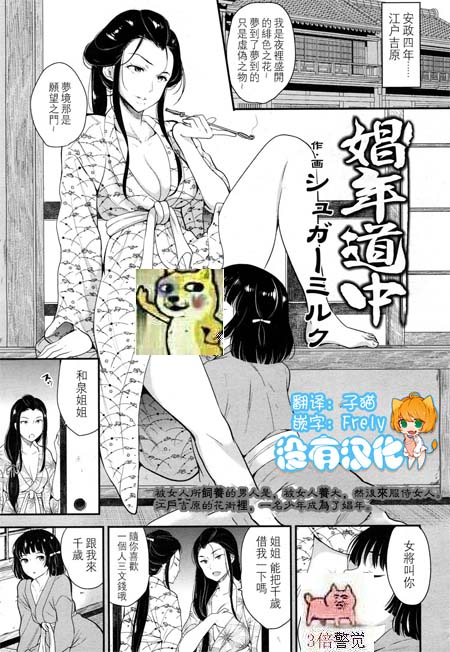 【汉化ACG本子】【百度云下载】【同人漫画】[シュガーミルク]娼年道中/正太/女装