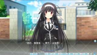 【汉化h游戏美少女游戏下载|VIP】因为妹妹太受欢迎了糟糕了 汉化版【2.3G】